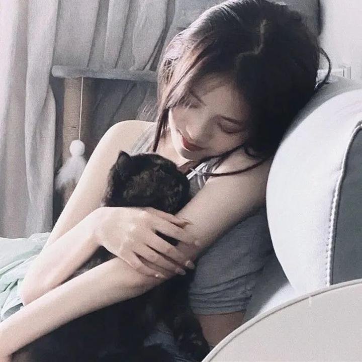 粉红蝴蝶